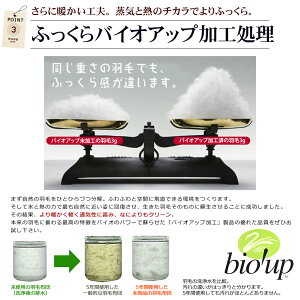 【700円OFFクーポン配布中!】羽毛布団西川シングルウクライナ産ホワイトダックダウン90%丸洗いできる!シングルロングサイズ150×210Sleepcomfy西川産業東京西川スリープコンフィー【送料無料】【P20Feb16】