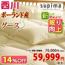 3/15-9:59迄レビューでP10倍★西川チェーン賞受賞★送料無料♪西川ポーランド産グース2枚合わせシングルサイズの羽毛布団羽毛ふとん!西川リビング【西川羽毛..
