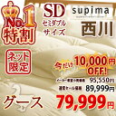 【西川・羽毛布団・セミダブル・日本製】1年中使える！西川羽毛ふとん無地2枚合せタイプ ポーランド産グース90%（暖かさ★★★★）抗菌【送料無料】セミダブル