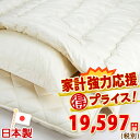 レビューで★ポイント10倍★西川チェーン賞受賞店10P_0301【組布団セット・シングル・日本製】シンプルな無地タイプ!羊毛混布団3点セット[無地)AM01【送料無料】シングル