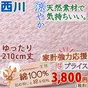 【西川・敷きパッド・シングル】吸湿性抜群の天然コットンが心地よい♪西川リビング 綿100% 水洗いキルト敷きパット/CP-2725SL(210cm丈 )夏用敷パッド(ウォッシャブル・丸洗いOK・ベッドパッド・ベッドパット兼用・SALE・セール)西川寝具シングル