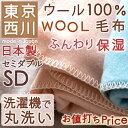【西川チェーン賞連続受賞】【西川毛布 ウール毛布 セミダブル】 天然オイル「ラノリン」でやわらかタッチ!東京西川 西川産業 ウール毛布 ブランケット もうふ 日本製 西川毛布