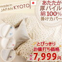 【11/23までの特別割引】【冬用掛け布団カバー・