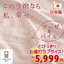 【西川チェーン賞連続受賞】今治 タオルケット シングル かわいいひつじ柄!ガーゼ&パイル ロマンス小杉 今治織りタオルケット ふんわりした肌触り 綿100%タオルケット 今治タオルケットシングル