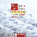 冬得1500円クーポン★ 羽毛布団 ダブル マザーグース 合掛け布団 西川 東京西川 ハンガリー産マザーグース93% 日本製 合い掛け 綿100% 春秋に丁度 リビング 西川産業 羽毛合い掛け布団/羽毛ふとん春用秋用【送料無料】西川寝具ダブル