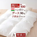 割引1000円クーポン★【掛布団カバー等特典付】 羽毛布団 西川 小さいサイズ ジュニア ハンガリー産 グース ダウン90% DP400 暖か1.0k 抗菌 日本製 ぬくもり仕上げ 東京 リビング 掛けふとん
