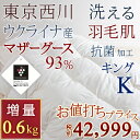 全品ポイント5倍 4/19 13:59迄 東京西川・厳選『ウクライナ産マザーグースダウン93%』夏用
