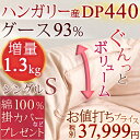 限定★1400円クーポン1/24正午迄 ...