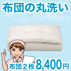 布団クリーニング・丸洗い（フレスコeパック）　2枚用 はじめてのお客さま用【宅配サービス】【送料無料】【P0810】