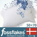 【父の日】フォスフレイクスピロー (fossfla