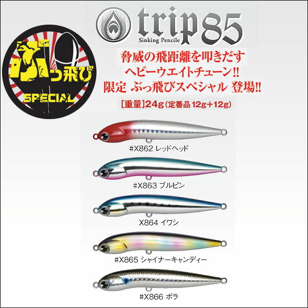 ima（アイマ）/trip 85（トリップ85）限定ぶっ飛びスペシャル【限定Xモデル】[即納]【SBZcou1208】夏シーズン応援！期間限定・ポイント10倍♪