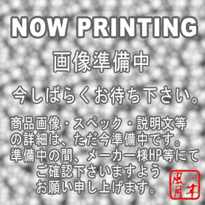 ダイワ ｢釣れる!｣新・渓流釣り2...:fuugetu:10164745