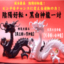 【当店限定品】【送料無料】《三本指の龍》陰陽好転・黒白神龍8点セット◆風水最高のピンチをチャンスに変えるアイテム◆特典◆天然水晶玉&黄金水杯付き天然石ドラゴンボールを持った白い龍と黒い龍の置物/ブラック&ホワイトドラゴンの風水グッズ
