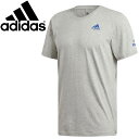 【2点までメール便送料無料】アディダス ラグビー フランス ICON Tシャツ FYM60-EI6288
