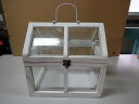 テラリウムホワイトウッド【訳あり品】【現品限り】