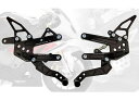 ドリブン S1000R S1000RR バックステップ関連パーツ D-Axis TTバックステップ R1000R 2014-2015/R1000RR 2010-2014