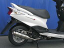 WirusWin ウィルズウィン【シグナス125Z用】シグナスZ用 ロイヤルマフラー バズーカータイプ