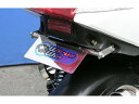 WirusWin ウィルズウィン【シグナス125Z用】シグナスZ用 フェンダーレスkit