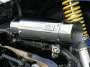 WirusWin ウィルズウィン【シグナス125Z用】シグナスZ用 サイレンサー型エアクリーナーKit(バズーカータイプ)