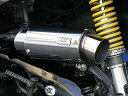 WirusWin ウィルズウィン【シグナス125Z用】シグナスZ用 サイレンサー型エアクリーナーKit(スポーツタイプ)