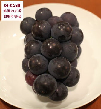 https://thumbnail.image.rakuten.co.jp/@0_mall/g-callshop/cabinet/foods/fruits/m700.jpg?_ex=500x500