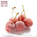 с@ځ@@嗱@L@ʔN@t[Yځ@24@V[xbg@R`@`F[@  Mtg 蕨 v[g ϔ  