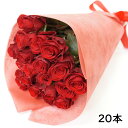 花門フラワーゲート バラ花束 20本 赤 レッド 生花/ギフト/プレゼント/贈答/お祝い/記念日/大切な日/バレンタインデー