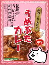 紀州梅酒を入れて煮込んだ【うめぶたカレー】【楽ギフ