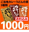 送料込1000円ポッキリセットF<お試しご当地カレ