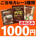 送料込1000円ポッキリセットG<お試しご当地カレ