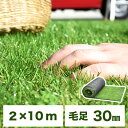 ★12H限定イベント超目玉!16900円★ 選べる2カラー ロールタイプ リアル人工芝 U字固定