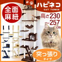 【在庫有】 キャットタワー 高さ 240cm 257cm 突っ張り 猫タワー 爪研ぎ 麻紐 ねこ 猫 ネコ つめとぎ ハンモック キャットハウス おしゃれ 猫タワー つっぱり スリム キャット