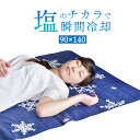 ◆キャッシュレス決済で5%還元◆ 【塩の冷却マット】 瞬間冷...
