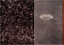 版画/木版画 筆塚稔尚 経つ影