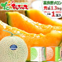 【出荷中】敬老の日 ギフト 送料無料 富良野メロン 1玉入り...