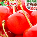【予約】お中元 ギフト 送料無料 北海道産 さくらんぼ 紅秀...