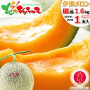 【予約/6月下旬~】お中元ギフト ギフト 北海道 JA共撰 夕張メロン 1玉 (優品/1玉 1.6kg) GI 北海道産 JA 大玉 メロン 北海道メロン 赤肉メロン お中元 暑中見舞い 贈り物 プレゼント お土産 人気 果物 フルーツ 送料無料 お取り寄せグルメ