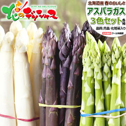 【連日出荷中】北海道産 アスパラ 3色セット 900g (各300g入り/冷蔵品)春の味覚 <strong>北海道アスパラ</strong> あすぱら アスパラガス グリーンアスパラ ホワイトアスパラ パープルアスパラ ギフト 贈り物 プレゼント 自宅用 家庭用 おうち用 野菜 北海道 グルメ お取り寄せ