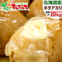 【予約】北海道産 新じゃが じゃがいも きたあかり 10kg (JA共撰/LM-Lサイズ) キタア