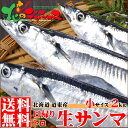 【鮮度重視!航空便で発送日の翌日お届け】 北海道産 生サンマ...
