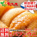 生ウニ 北海道産 エゾバフンウニ (100g×3/冷蔵品) 航空便 生 無添加 塩水うに 塩水ウニ 生うに 赤 ウニ バフンウニ 蝦夷バフンウニ グルメ 北海道 送料無料 お取り寄せ