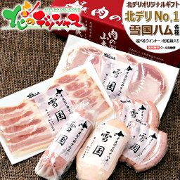 北のデリシャス 雪国<strong>ハム</strong>ギフト (冷蔵品)肉 加工品 <strong>ハム</strong> ギフト 贈り物 贈答 プレゼント お祝い お礼 お返し 内祝い 冬ギフト 冬グルメ のし セット 詰め合わせ 北海道 食べ物 グルメ 送料無料 肉の山本 千歳にくやま<strong>ハム</strong> お取り寄せ