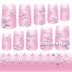 2008ǯտBN(ӡ) ͥ륷SNS-12