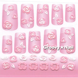 2008ǯտBN(ӡ) ͥ륷SNS-23