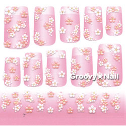 2008ǯտBN(ӡ) ͥ륷SNS-32