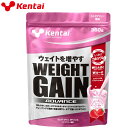 ケンタイ Kentai ウエイトゲイン アドバンス ストロベリー風味 360g K3122