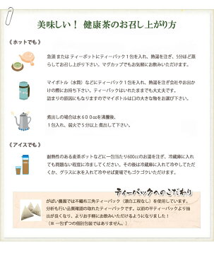 ゴーヤ茶 2g×30包【ゴーヤ茶/ゴーヤ茶 国産/ゴーヤ茶 送料無料/健康茶】