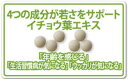 【今だけ送料無料（宅急便ご利用は別途）】【あす楽対応】脳の活性化 4つの成分が若さをサポート ★イチョウ葉エキス お徳用180粒(約3ヶ月分) 【smtb-m】(美容　健康　天然　健康食品　サプリメント　通販　楽天)【RCP】