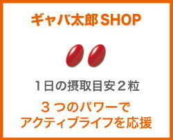 【今だけ送料無料（宅急便ご利用は別途）】【あす楽対応】ビタミンACE　60粒(約1ヶ月分) 【smtb-m】(ビタミン/サプリ/健康/天然/健康食品/サプリメント/通販/楽天)【RCP】05P29Jul16