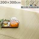 【送料無料】イ草カーペット イ草ラグインテリア い草 ラグ 滑り止め じゅうたん 絨毯 ジュータン 長方形 ラグ マット 畳 いぐさ イ草 リビング おしゃれ モダン 春 夏 秋 冬 エコ素材 夏用 夏ラグ 10P12Sep14 ★い草ラグマット ミヤギ〔200×300〕【RCP】